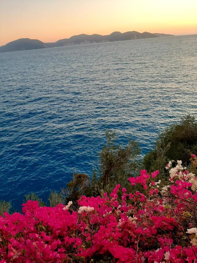 Cavos Inn Apartments Kefalonia Asos Luaran gambar