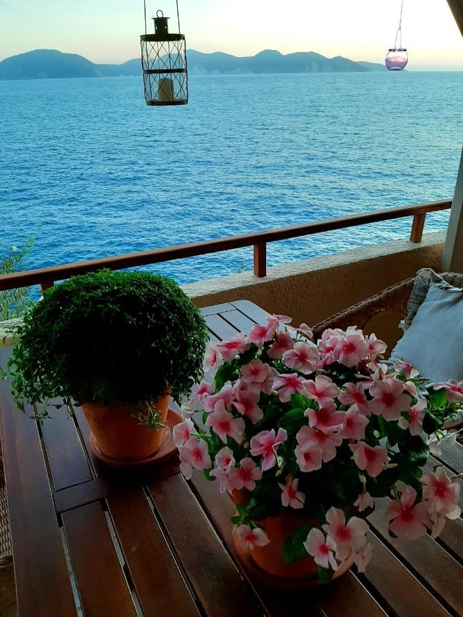 Cavos Inn Apartments Kefalonia Asos Luaran gambar